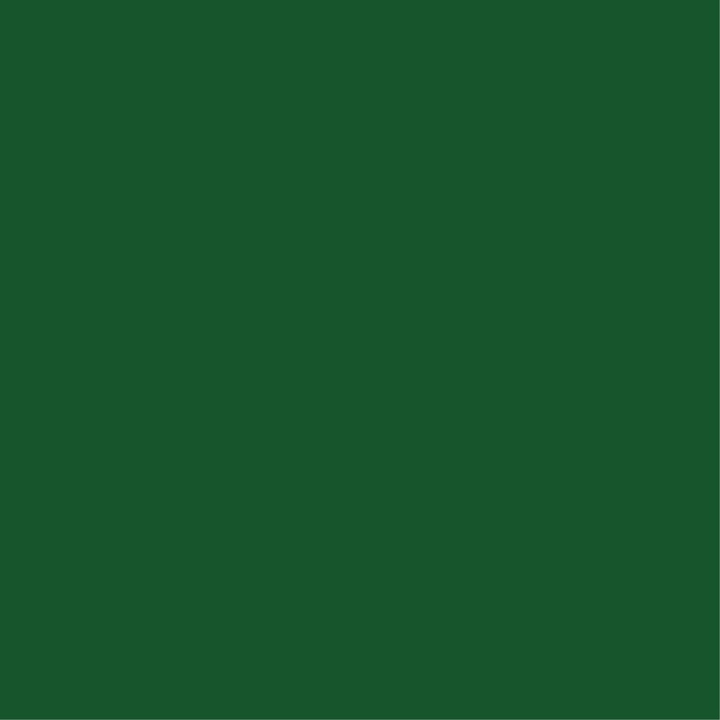 Esmalte Qualik Verde Organico Galon Berel