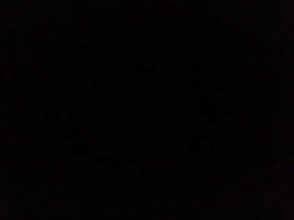Berelex Negro Galon Berel