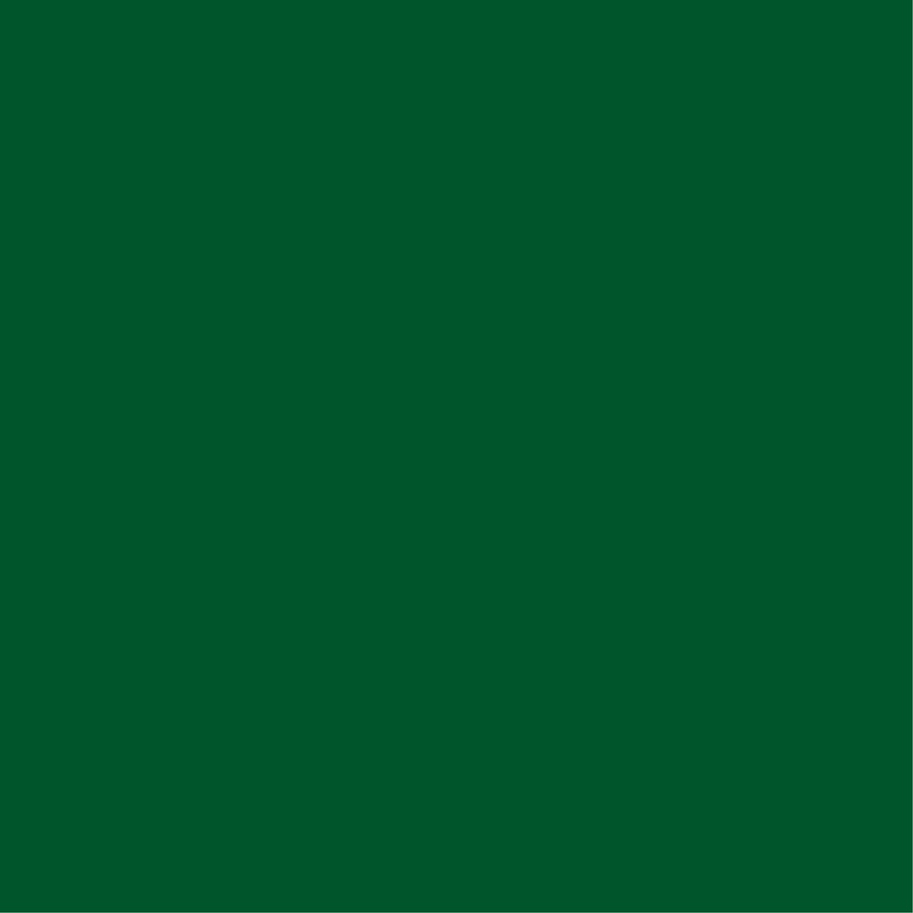 Berelinte Verde Intenso Galon Berel