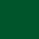 Berelinte Verde Intenso Galon Berel
