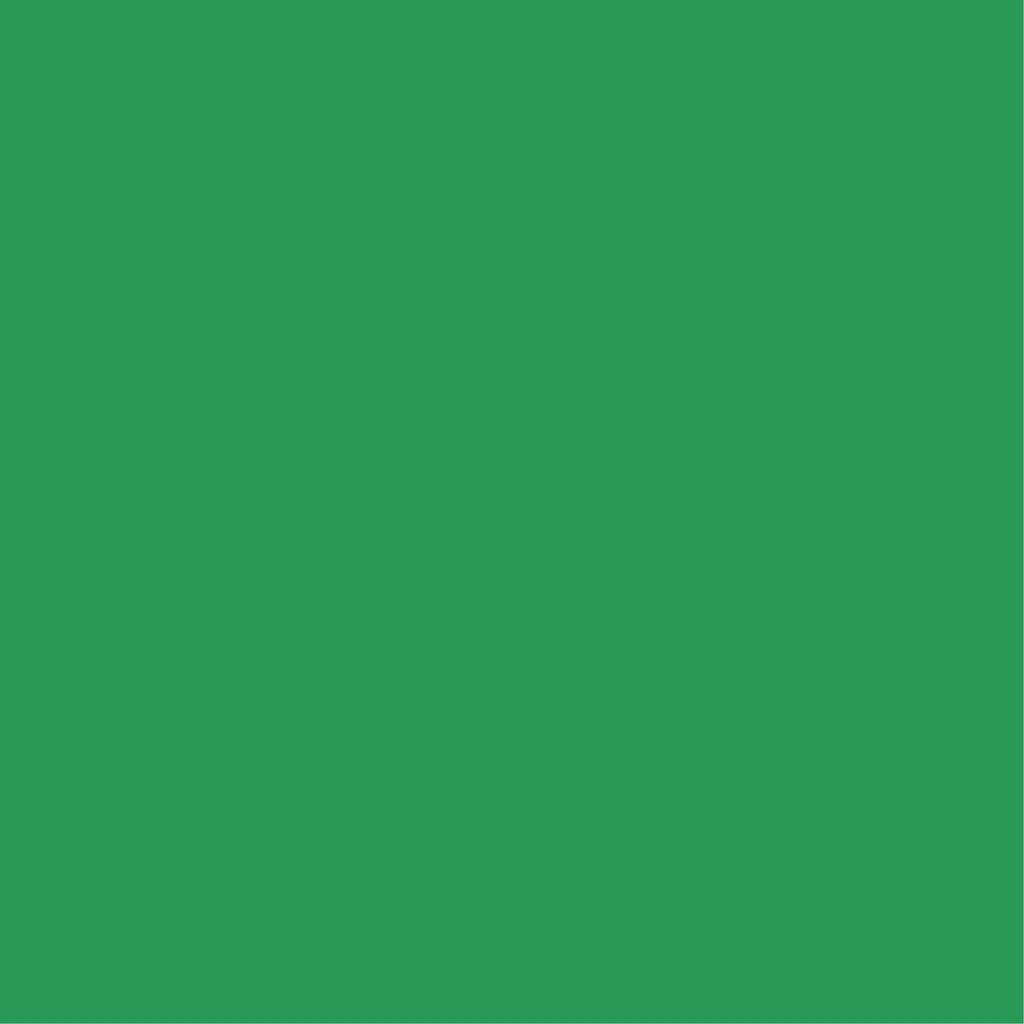 Berelinte Verde Prado Galon Berel